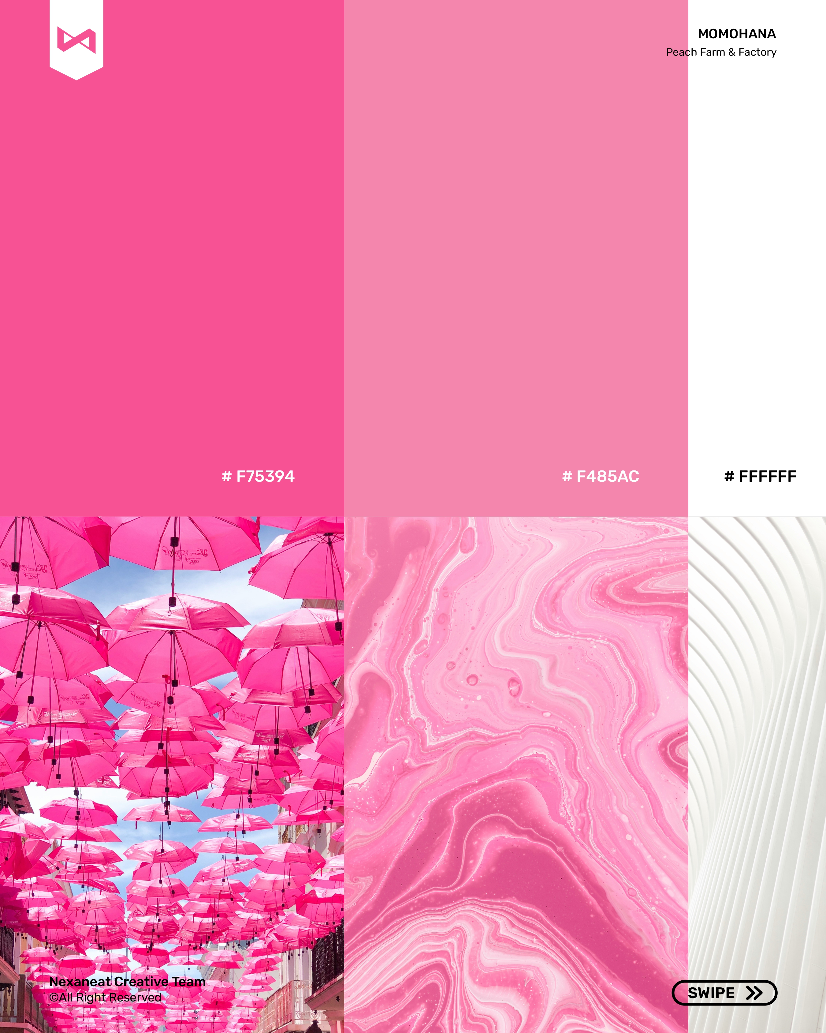 Palette — pansy, knapweed, black, paper