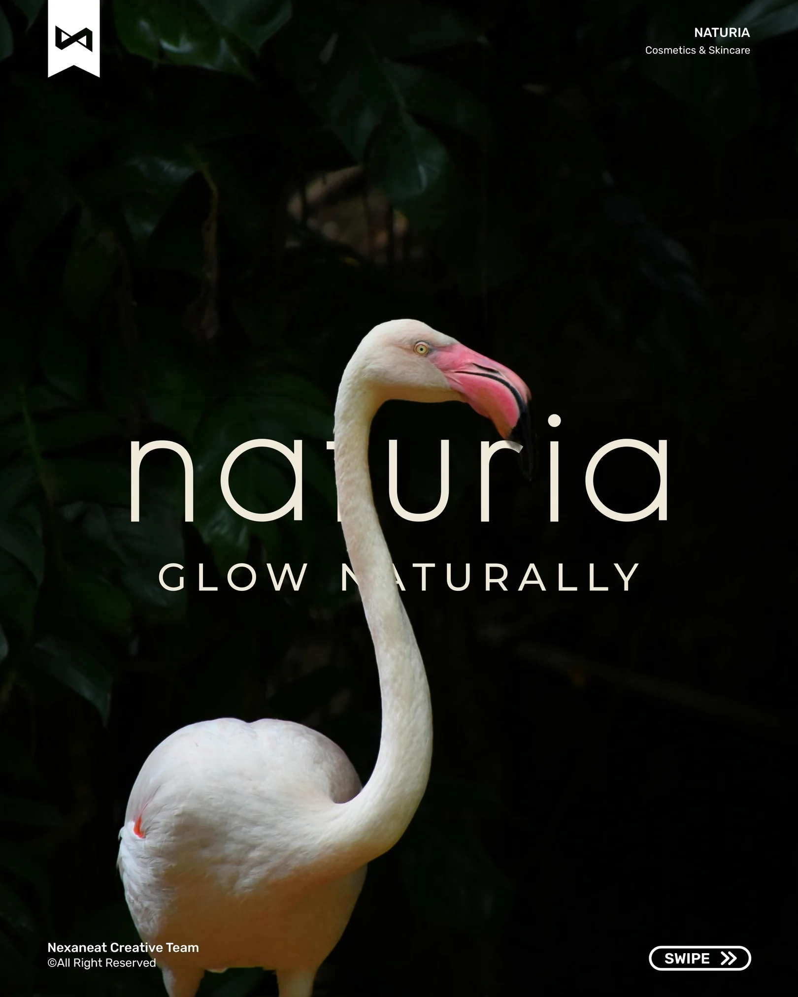 Flamingo slide — wordmark paired with tropical portrait